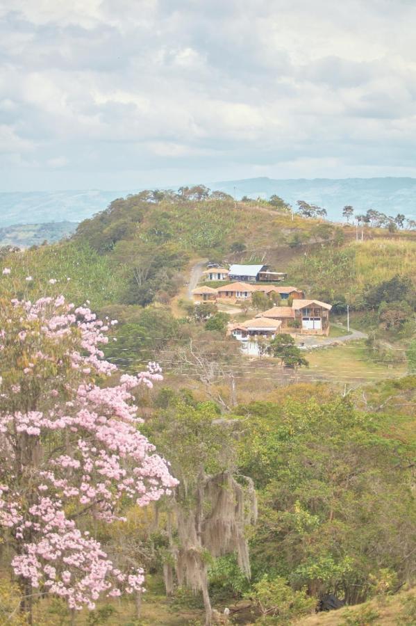 Macua Villa Chipata ภายนอก รูปภาพ