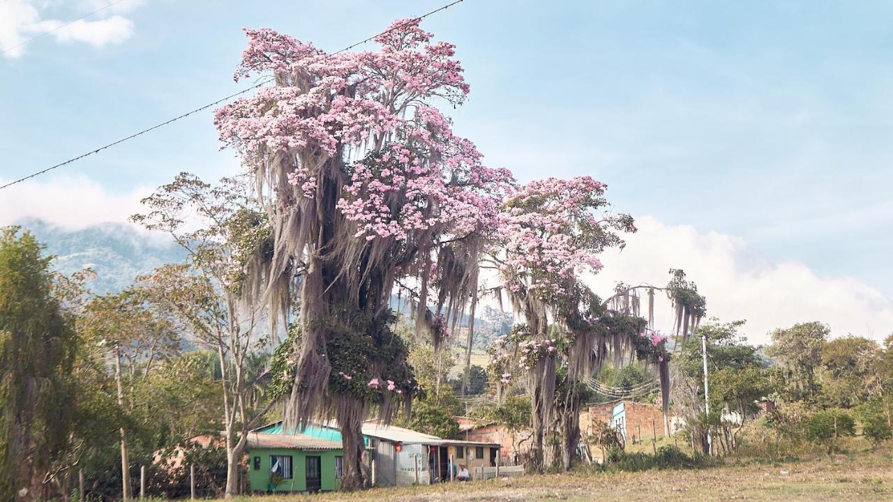 Macua Villa Chipata ภายนอก รูปภาพ