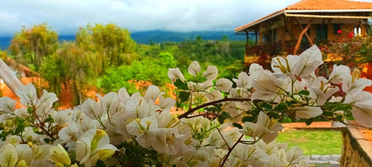 Macua Villa Chipata ภายนอก รูปภาพ