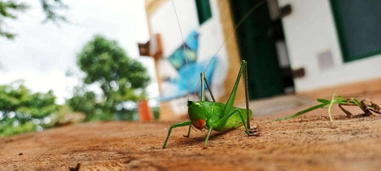 Macua Villa Chipata ภายนอก รูปภาพ